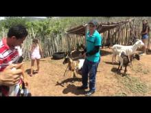 Embedded thumbnail for  Juventude para agroecologia do Polo da Borborema