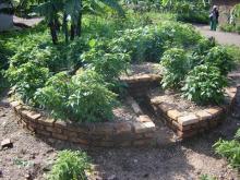 Embedded thumbnail for &amp;#039;Kitchen Gardens&amp;#039; zijn een oplossing voor ondervoeding in Rwanda