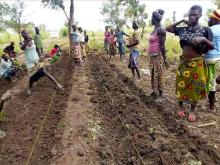 Embedded thumbnail for Market gardening in the dry season in Tapoga