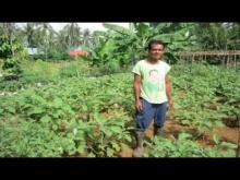 Embedded thumbnail for Agricultura Ecológica en Filipinas.
