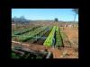 Embedded thumbnail for Family agricultural schools making dreams come true.