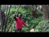 Embedded thumbnail for Palm Wine Production