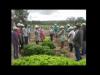 Embedded thumbnail for Women in the semi-arid region of Brazil