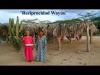 Embedded thumbnail for Wayuu&amp;#039;s wederkerigheid