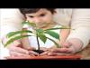 Embedded thumbnail for The environment 