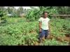 Embedded thumbnail for Organic Farming in the Philippines